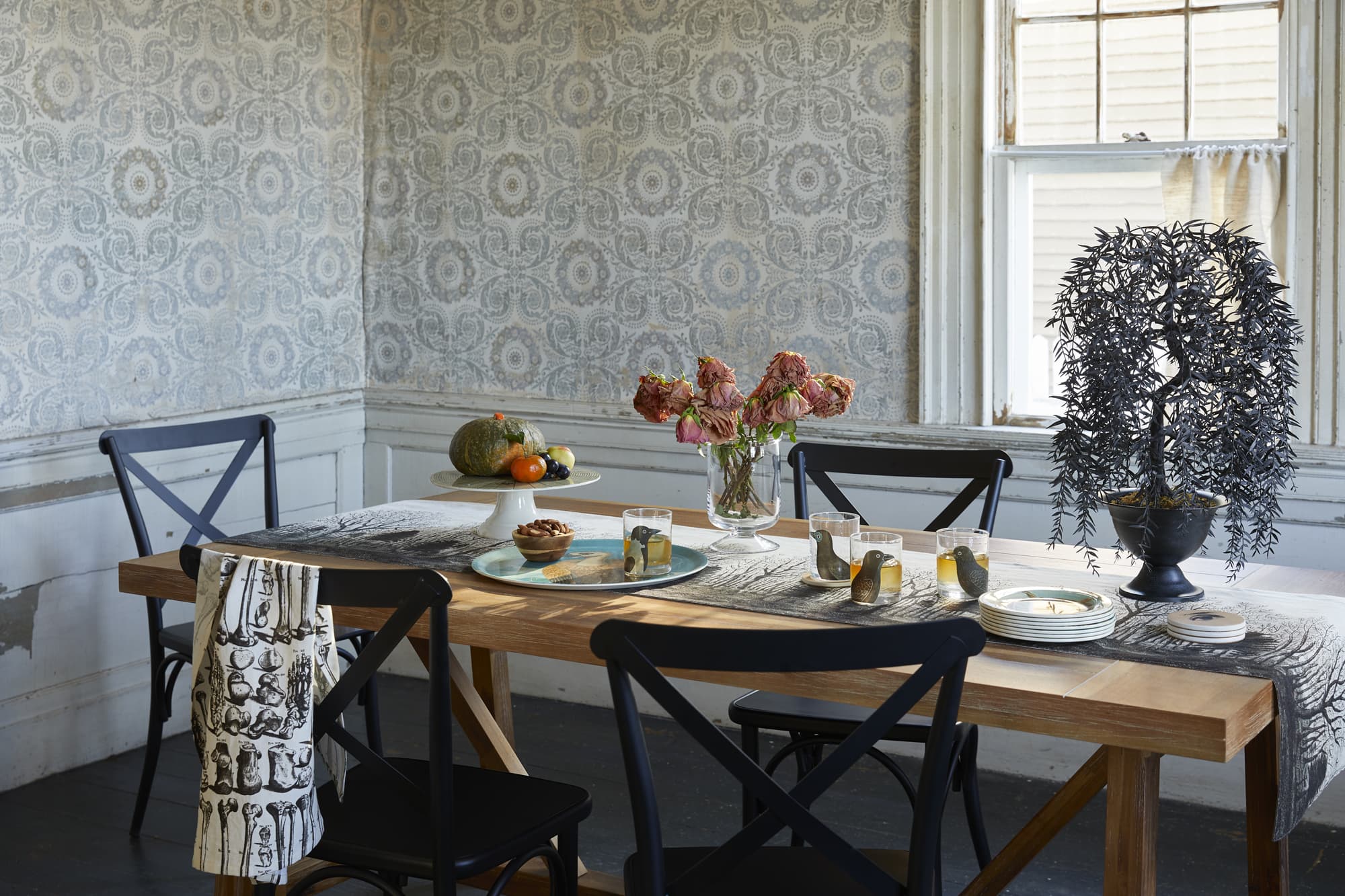 John Derian 三日月ソーサー 13.5 4 Piece Set John Derian For Target Cocktail Coupe Glasses